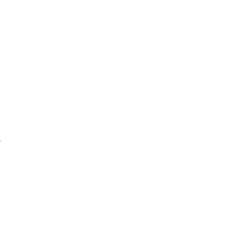Rays TechServ