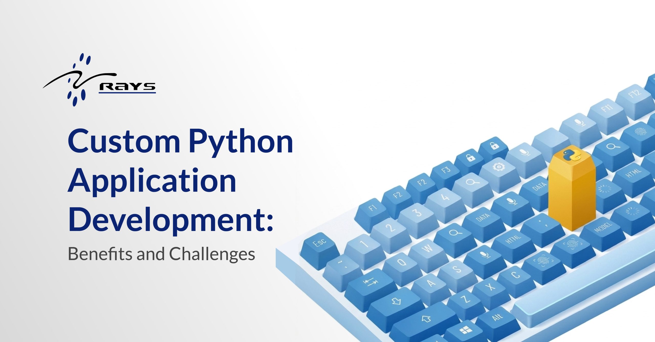 Custom Python Application Development: Benefits and Challenges